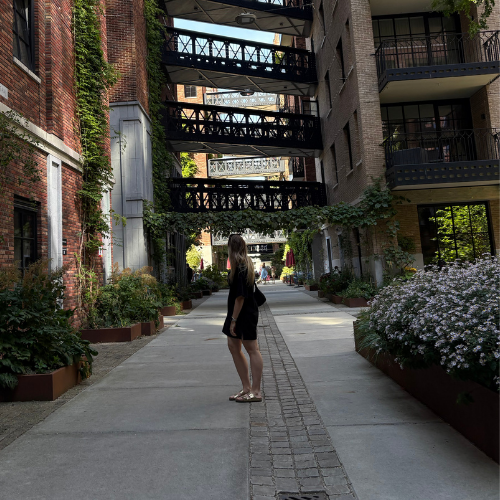 Rotterdam (Niederlande) - Reiseplan 3 Tage